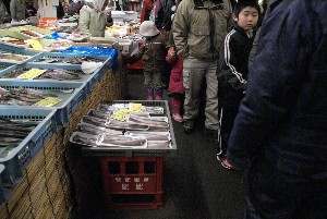 2009/02/08 �����Ђ��ݎ�����@-2-_29