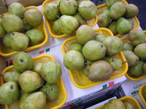 2009/02/13 ���T�̔����ł�_3