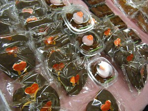 2009/02/13 ���T�̔����ł�_5