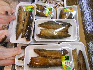 2009/02/13 ���T�̔����ł�_16