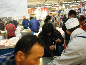 2009/02/13 �������卪�`_13