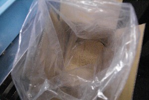 2009/02/15 ���薡�X������_47