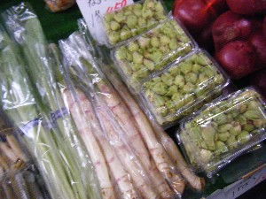 2009/01/31 �L���`�������2_3