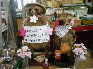 2009/01/31 �L���`�������2_5