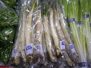 2009/01/31 �L���`�������2_8