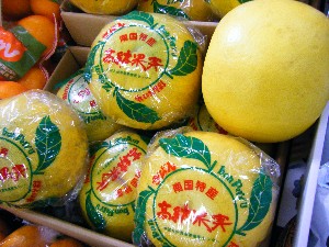 2009/01/31 �L���`�������2_22