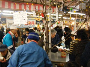2009/02/21�@���k�P�̊��`  �g�V���X����_3