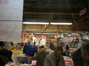 2009/02/21�@���k�P�̊��`  �g�V���X����_15