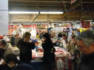 2009/02/21�@���k�P�̊��`  �g�V���X����_19