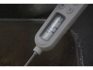 2009/02/21 ���薡�X������_19