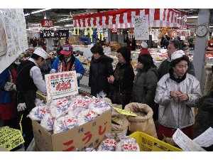 2009/02/21 ���薡�X������_25