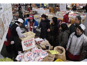 2009/02/21 ���薡�X������_27