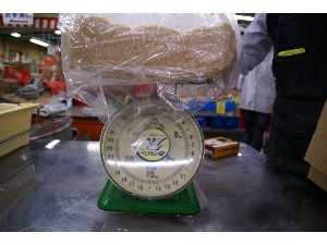 2009/02/21 ���薡�X������_44