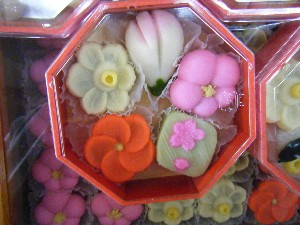 20090228 ���T�̔����ł�_3