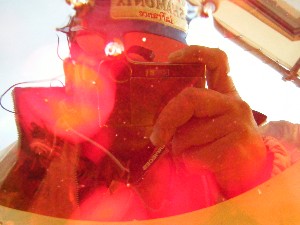20090228 ���T�̔����ł�_14