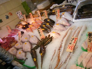 20090228 ���T�̔����ł�_31