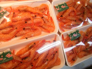 20090228 ���T�̔����ł�_34