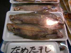 20090228 ���T�̔����ł�_38