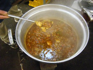 20090301 �J���[��̎�����_2