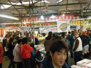 20090301 �J���[��̎�����_8