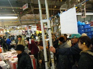20090301 �J���[��̎�����_11