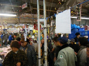20090301 �J���[��̎�����_12