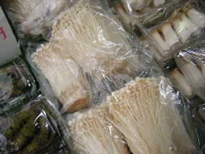 20090307 ���T�̔����ł�_7