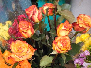 20090307 ���T�̔����ł�_11