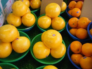 20090307 ���T�̔����ł�_18