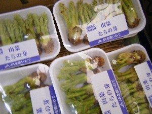 20090307 ���T�̔����ł�_22
