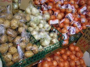 20090307 ���T�̔����ł�_25