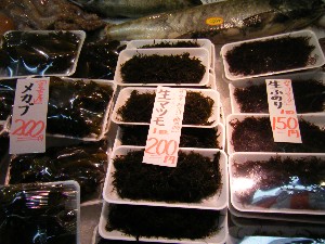 20090307 ���T�̔����ł�_27