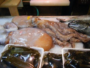 20090307 ���T�̔����ł�_28