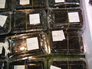 20090307 ���T�̔����ł�_29