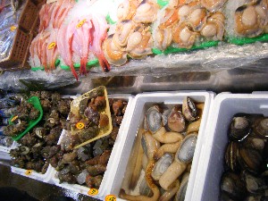 20090307 ���T�̔����ł�_41