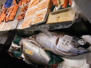 20090307 ���T�̔����ł�_44