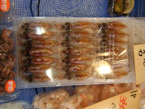 20090307 ���T�̔����ł�_46