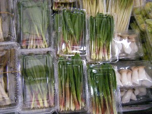 2009/02/21 ���薡�X������_2