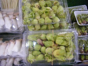 2009/02/21 ���薡�X������_3
