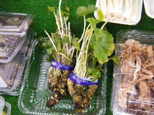 2009/02/21 ���薡�X������_4