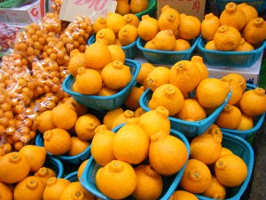 2009/02/21 ���薡�X������_6
