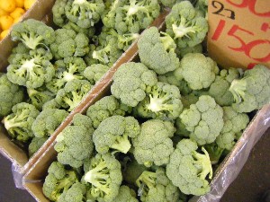 2009/02/21 ���薡�X������_8