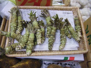 2009/02/21 ���薡�X������_13