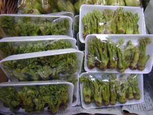 2009/02/21 ���薡�X������_15