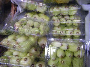 2009/02/21 ���薡�X������_16