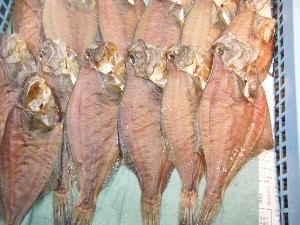 2009/02/21 ���薡�X������_18