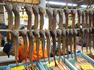 2009/02/21 ���薡�X������_19