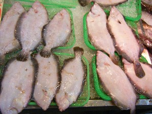 2009/02/21 ���薡�X������_24