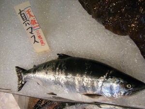 2009/02/21 ���薡�X������_25