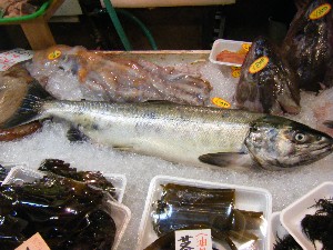 2009/02/21 ���薡�X������_26